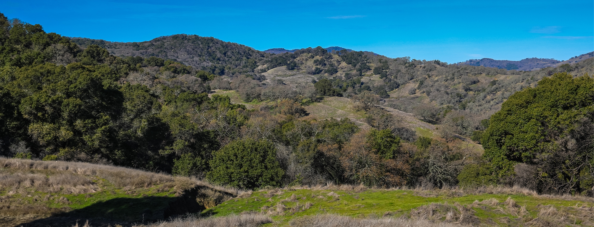 Willow Creek Ranch | Napa County, California